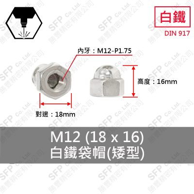 304白鐵袋帽 M12