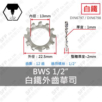 304白鐵外齒華司 BWS-1/2" (13*22.5*1t)