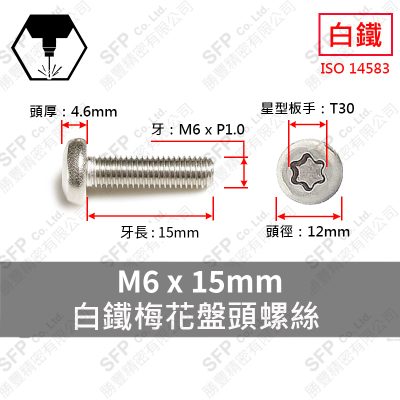 304白鐵盤頭梅花螺絲 M6*15