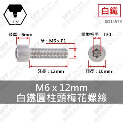 304白鐵圓柱頭梅花螺絲 M6*12