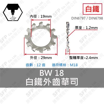 304白鐵外齒華司 BWS-18 (19*29*1.2)-12齒