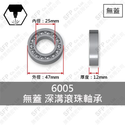 Ball Bearing (Japan) 6005 Open