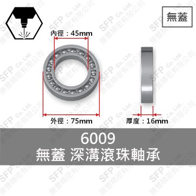 Ball Bearing (Japan) 6009 Open