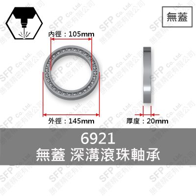 Ball Bearing (Japan) 6921 Open