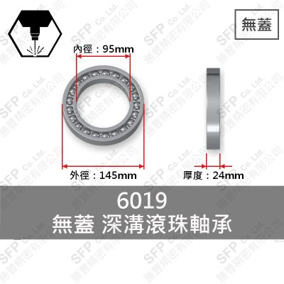 Ball Bearing (Japan) 6019 Open