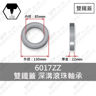 Ball Bearing (Japan) 6017ZZ Double Shield