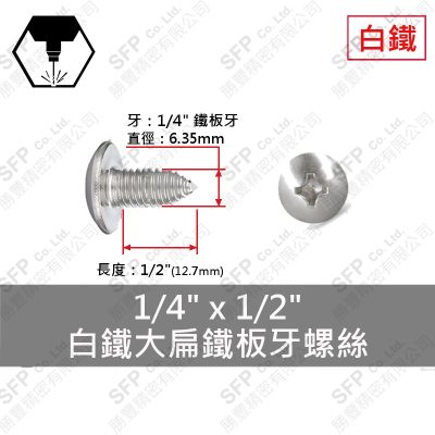 304白鐵大扁鐵板牙螺絲 1/4"*1/2"