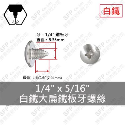304白鐵大扁鐵板牙螺絲 1/4"*5/16"