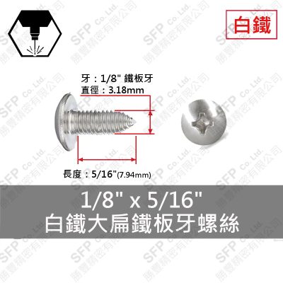 304白鐵大扁鐵板牙螺絲 1/8"*5/16"