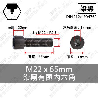 12.9合金鋼有頭內六角 M22*65