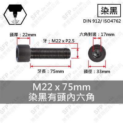 12.9合金鋼有頭內六角 M22*75