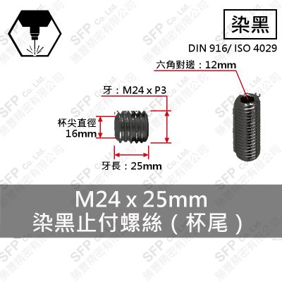 12.9合金鋼止付螺絲 M24*25