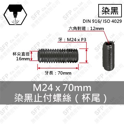 12.9合金鋼止付螺絲 M24*70